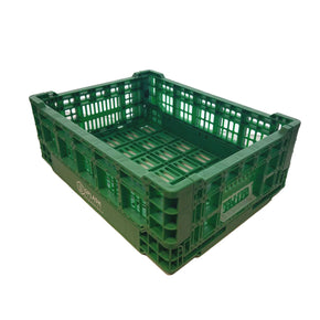 Green Collapsible Vegetable Basket