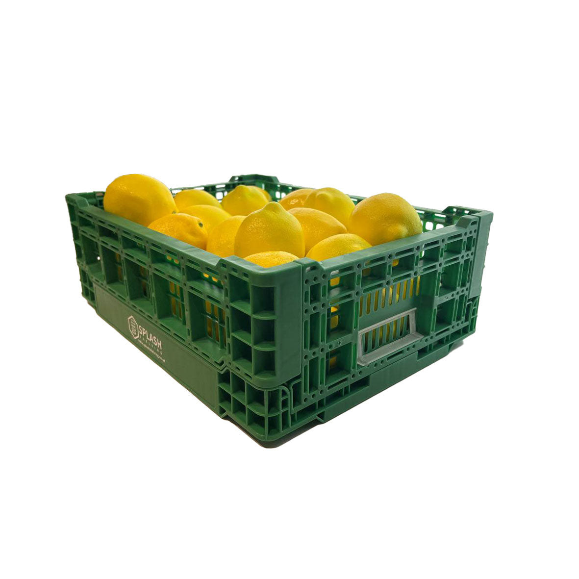 Green Collapsible Vegetable Basket