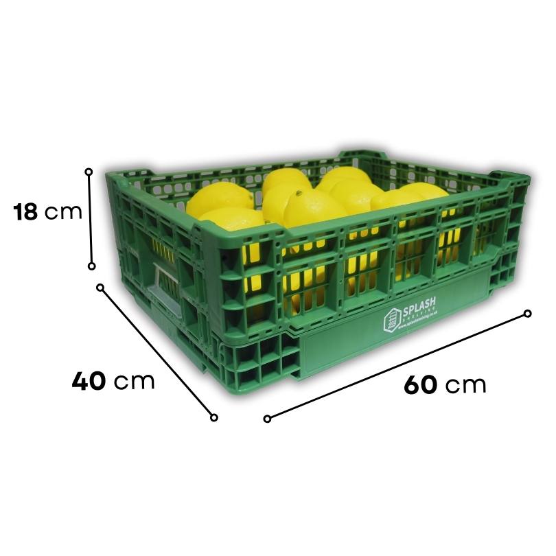 Green Collapsible Vegetable Basket