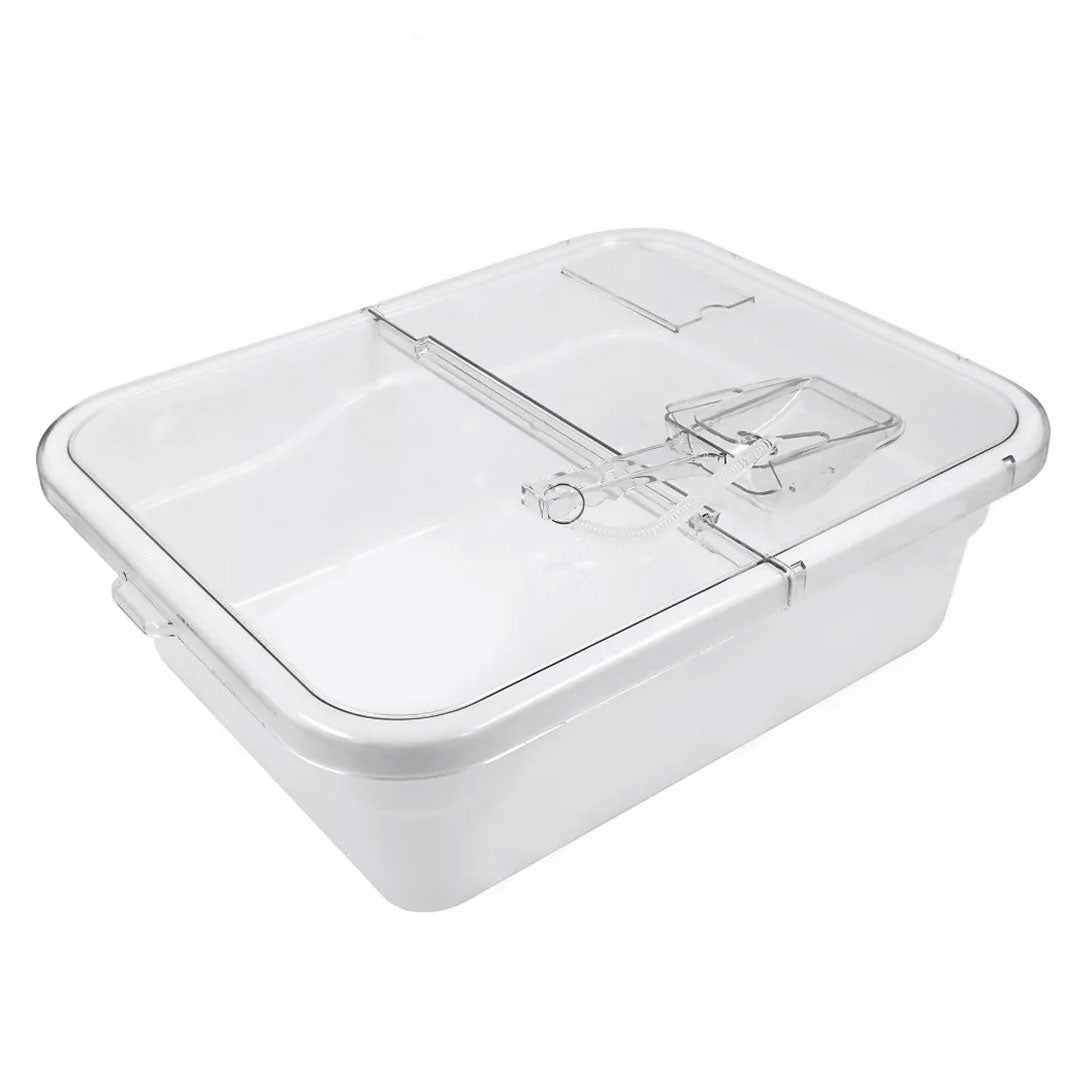Nut and Dry Fruit Tray